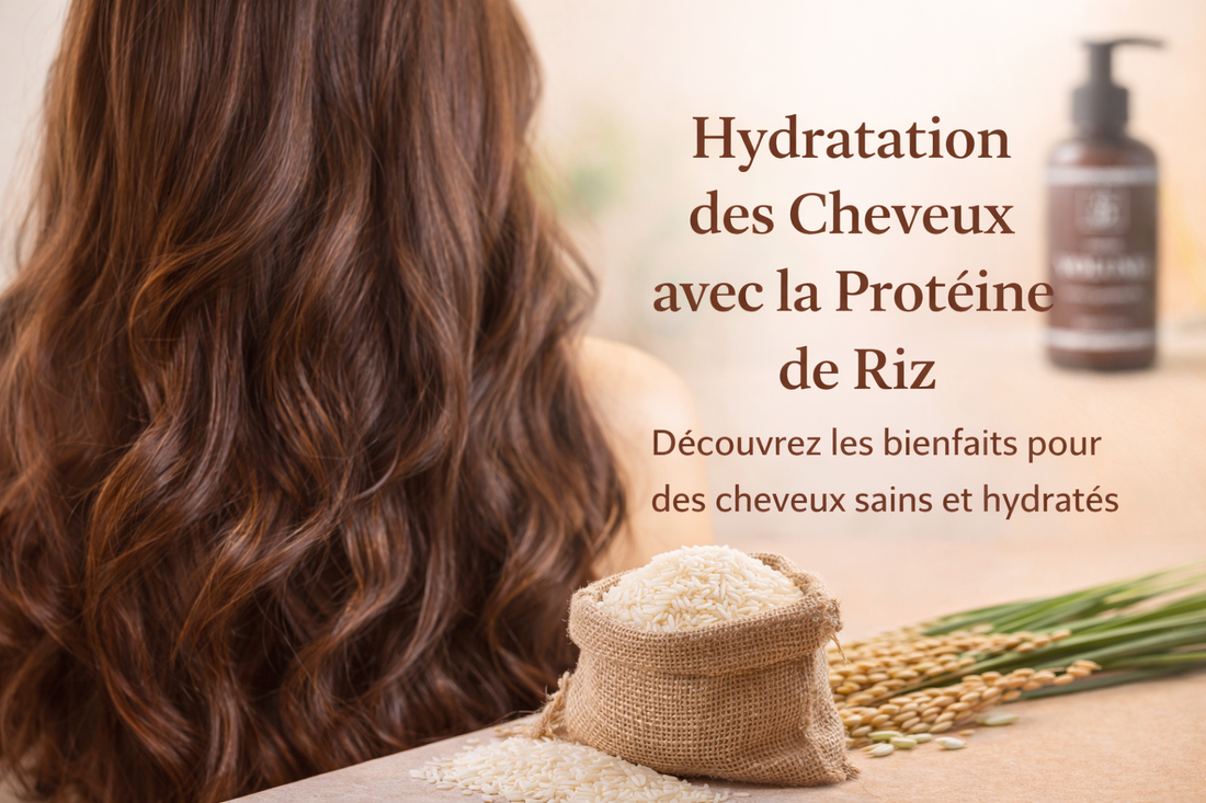 L'hydratation Capillaire à base de protéine de riz  🌾